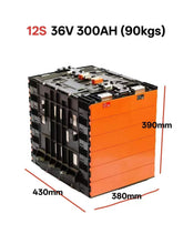 Load image into Gallery viewer, [PRE ORDER] BYD Bare module 12S | 36V 300Ah
